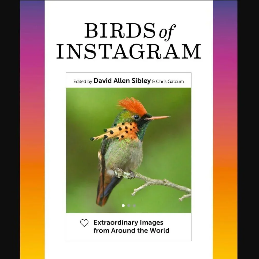 Birds of Instagram: Extraordinary Images from Around the World Hardcover Book